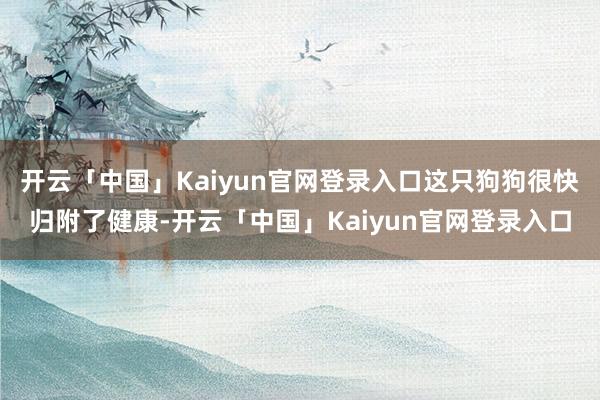 开云「中国」Kaiyun官网登录入口这只狗狗很快归附了健康-开云「中国」Kaiyun官网登录入口