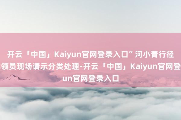 开云「中国」Kaiyun官网登录入口”河小青行径中心本领员现场请示分类处理-开云「中国」Kaiyun官网登录入口