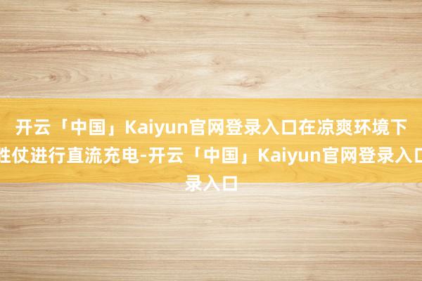 开云「中国」Kaiyun官网登录入口在凉爽环境下胜仗进行直流充电-开云「中国」Kaiyun官网登录入口