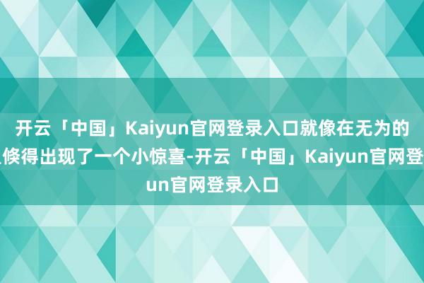 开云「中国」Kaiyun官网登录入口就像在无为的生涯里倏得出现了一个小惊喜-开云「中国」Kaiyun官网登录入口