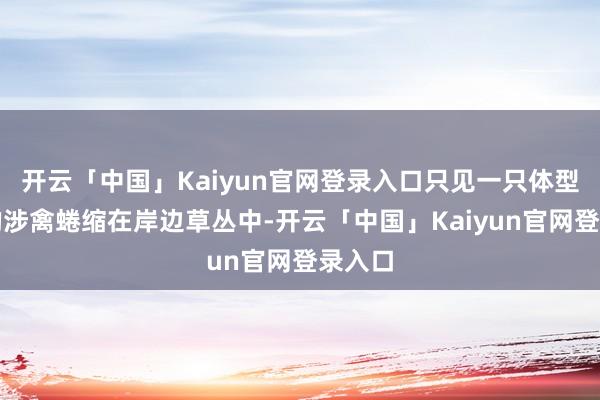 开云「中国」Kaiyun官网登录入口只见一只体型硕大的涉禽蜷缩在岸边草丛中-开云「中国」Kaiyun官网登录入口