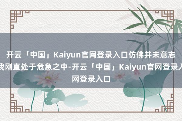 开云「中国」Kaiyun官网登录入口仿佛并未意志到我刚直处于危急之中-开云「中国」Kaiyun官网登录入口