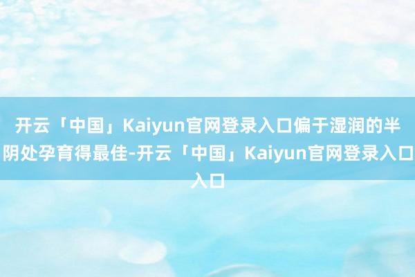 开云「中国」Kaiyun官网登录入口偏于湿润的半阴处孕育得最佳-开云「中国」Kaiyun官网登录入口