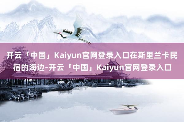 开云「中国」Kaiyun官网登录入口在斯里兰卡民宿的海边-开云「中国」Kaiyun官网登录入口