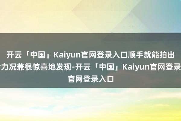 开云「中国」Kaiyun官网登录入口顺手就能拍出生命力况兼很惊喜地发现-开云「中国」Kaiyun官网登录入口