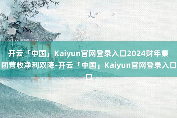 开云「中国」Kaiyun官网登录入口2024财年集团营收净利双降-开云「中国」Kaiyun官网登录入口