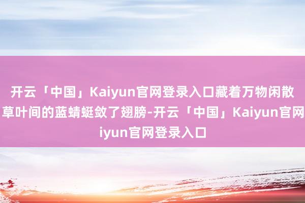 开云「中国」Kaiyun官网登录入口藏着万物闲散的节律;草叶间的蓝蜻蜓敛了翅膀-开云「中国」Kaiyun官网登录入口