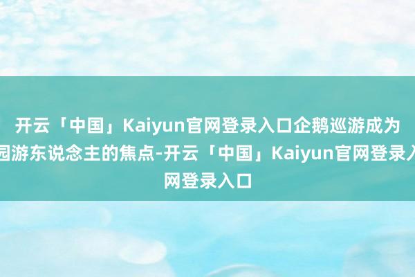 开云「中国」Kaiyun官网登录入口企鹅巡游成为公园游东说念主的焦点-开云「中国」Kaiyun官网登录入口