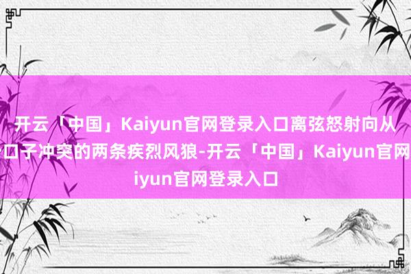 开云「中国」Kaiyun官网登录入口离弦怒射向从终末一个口子冲突的两条疾烈风狼-开云「中国」Kaiyun官网登录入口