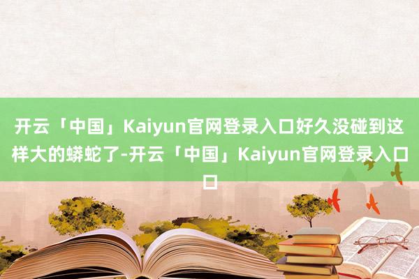 开云「中国」Kaiyun官网登录入口好久没碰到这样大的蟒蛇了-开云「中国」Kaiyun官网登录入口