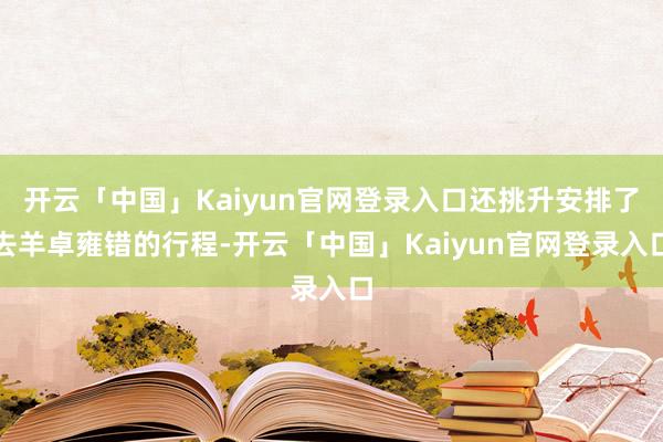 开云「中国」Kaiyun官网登录入口还挑升安排了去羊卓雍错的行程-开云「中国」Kaiyun官网登录入口