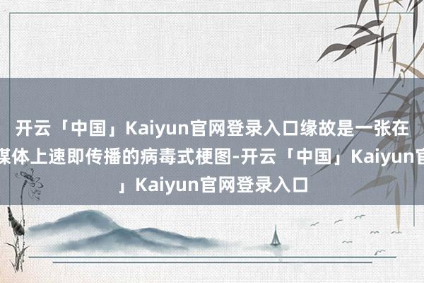 开云「中国」Kaiyun官网登录入口缘故是一张在论坛和酬酢媒体上速即传播的病毒式梗图-开云「中国」Kaiyun官网登录入口