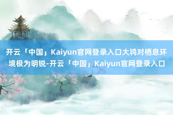 开云「中国」Kaiyun官网登录入口大鸨对栖息环境极为明锐-开云「中国」Kaiyun官网登录入口