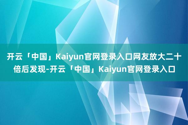 开云「中国」Kaiyun官网登录入口网友放大二十倍后发现-开云「中国」Kaiyun官网登录入口