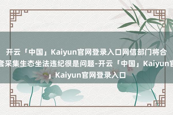 开云「中国」Kaiyun官网登录入口网信部门将合手续聚焦龙套采集生态坐法违纪很是问题-开云「中国」Kaiyun官网登录入口