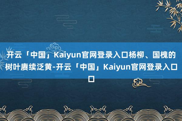 开云「中国」Kaiyun官网登录入口杨柳、国槐的树叶赓续泛黄-开云「中国」Kaiyun官网登录入口